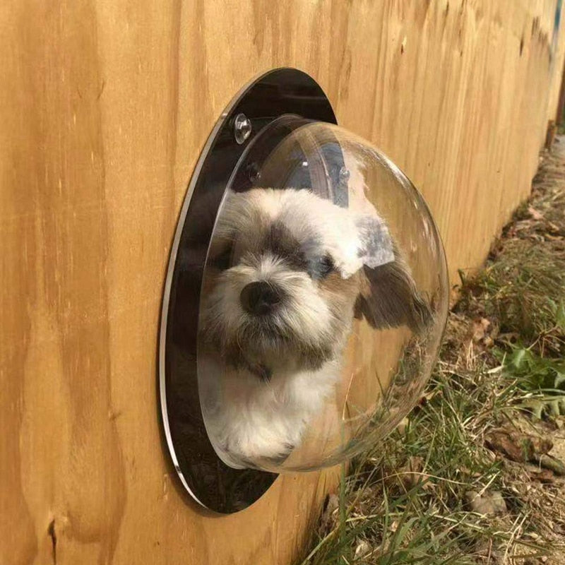 Transparent Bubble Dome Window for Dog Fence – Safe Pet Peek View Solution