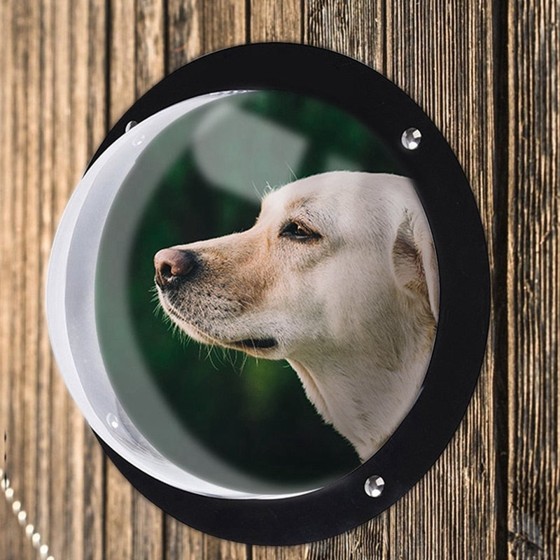 Transparent Bubble Dome Window for Dog Fence – Safe Pet Peek View Solution