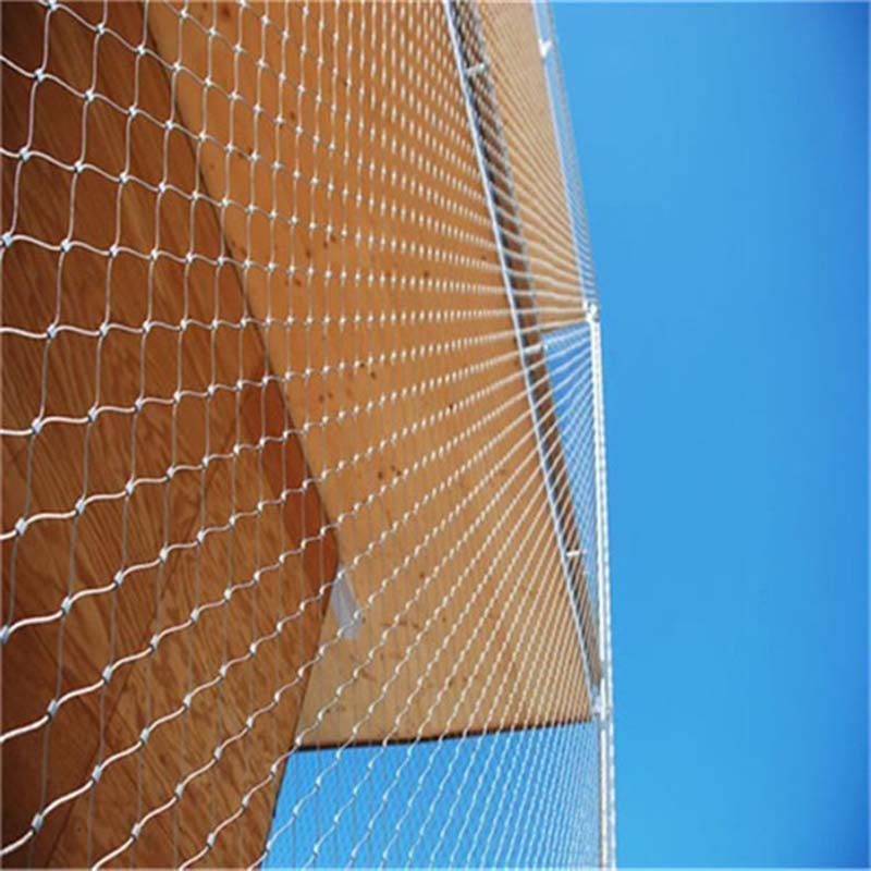 Stainless Steel Wire Plant Trellis for Climbing Plants, Support Structure