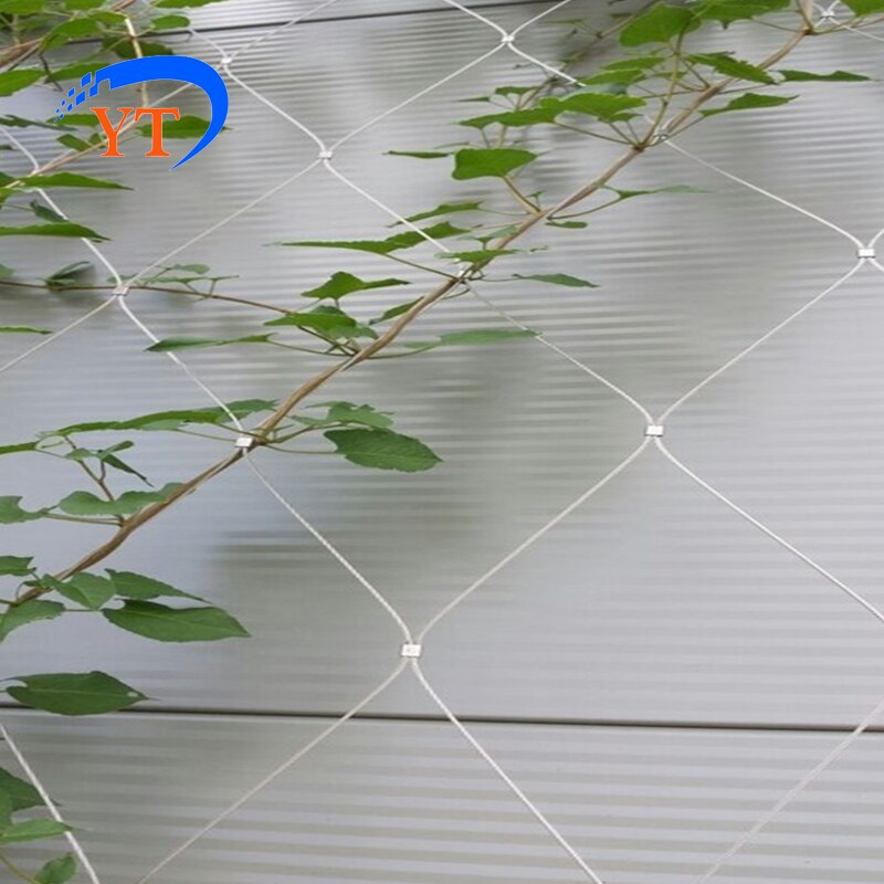 Stainless Steel Wire Plant Trellis for Climbing Plants, Support Structure