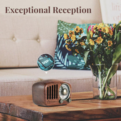 Portable Rechargeable Mini Radio with Wood Finish